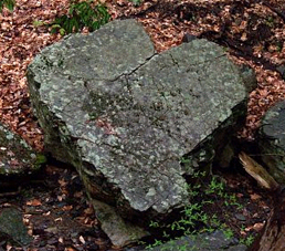 Bohemian Heart Rock